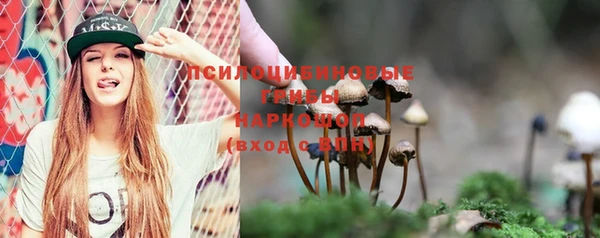 первитин Белоозёрский