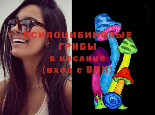 первитин Белоозёрский