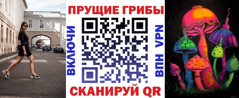 где продают наркотики  Михайлов  Галлюциногенные грибы мицелий 